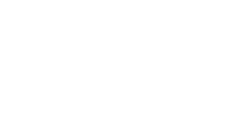 Logo PNAV en blanco
