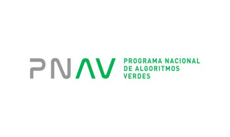 PNAV