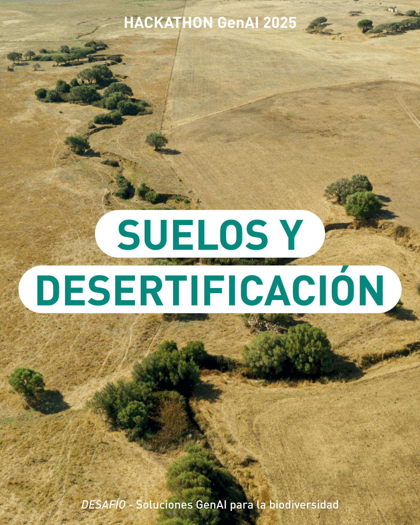 SUELOS Y DESERTIFICACIÓN