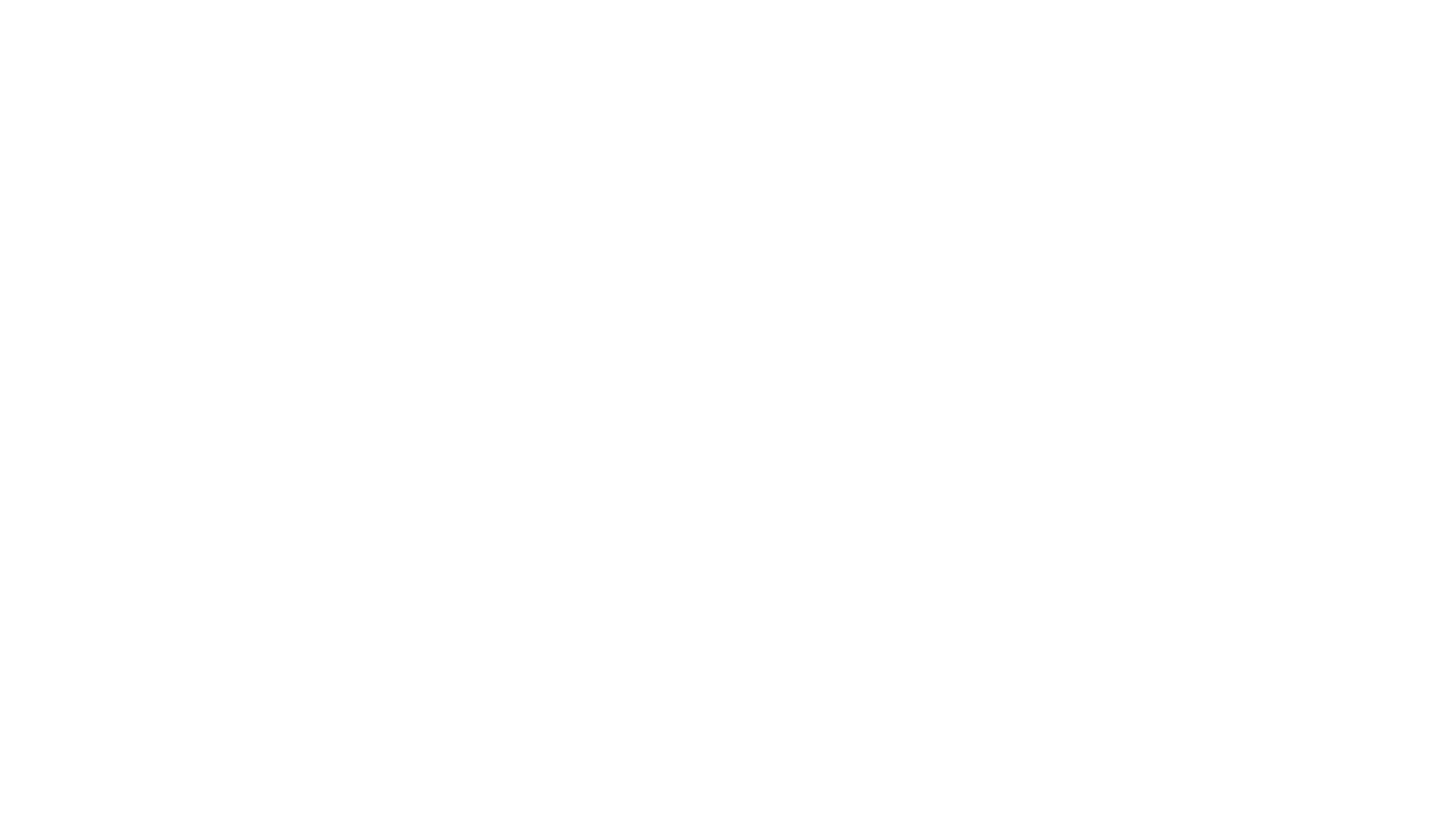 PNAV vertical Logo